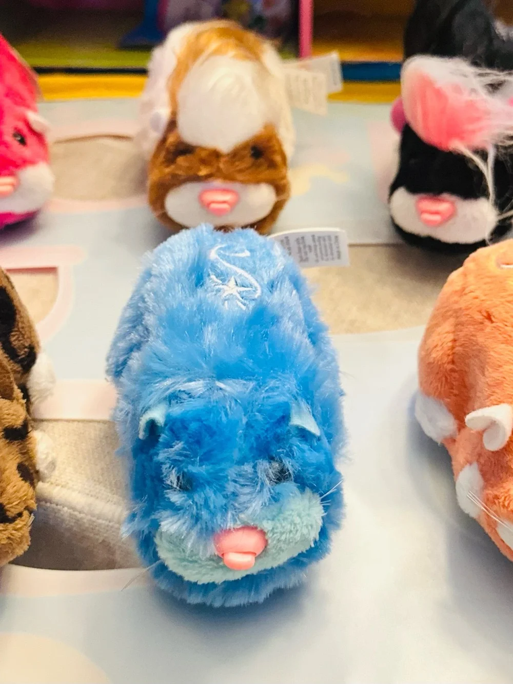 Cepia zhu pets